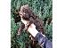 PoulaTo: Κουτάβια Lagotto Romagnolo